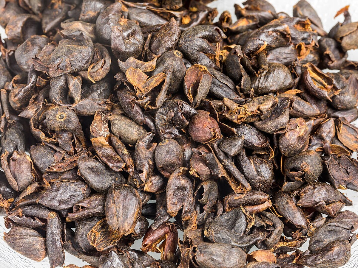 Cascara, Coffee cherry tea - dried skins of the coffee fruit