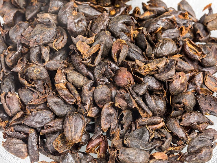 Cascara, Coffee cherry tea - dried skins of the coffee fruit